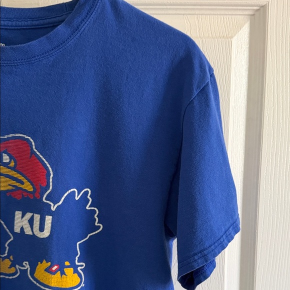 Champion Authentic Blue T-Shirt - Picture 5 of 10